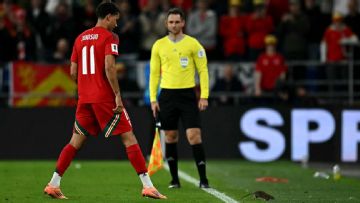 Rat on the pitch! Strange stoppages after Wales vs. Belgium incident