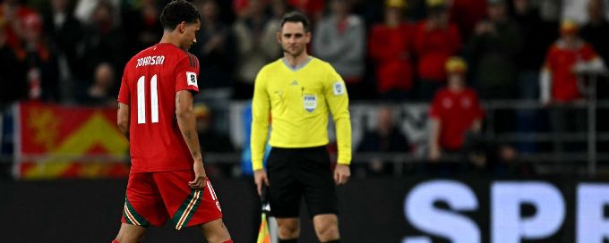 Rat on the pitch! Strange stoppages after Wales vs. Belgium incident