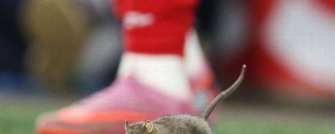Rat suspends play during Wales' 4-2 qualifier loss to Belgium
