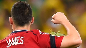 Rat on the pitch! Strange stoppages after Wales vs. Belgium incident