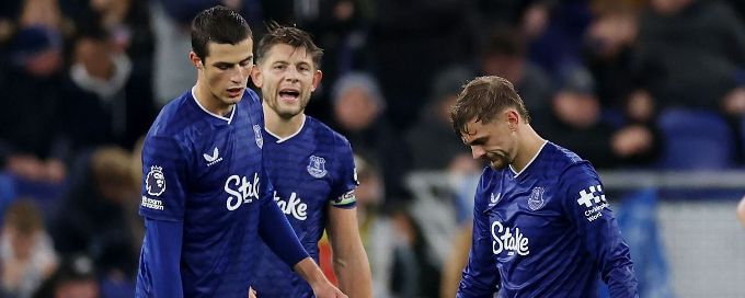 Everton fans waited 28 years for Hill Dickinson Stadium - first defeat won't hurt