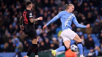 Soccer players with the most goals in a Premier League season