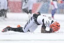 Bengals wide receiver Tee Higgins back in concussion protocol