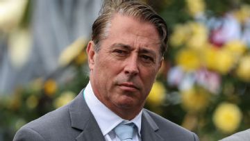 Ex-Fremantle Dockers boss Steve Rosich named new A-League CEO