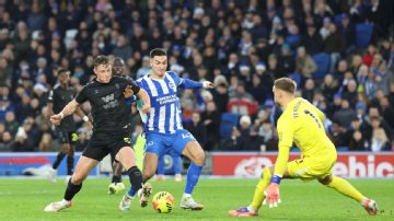 Impressive Sunderland season continues with draw at Brighton