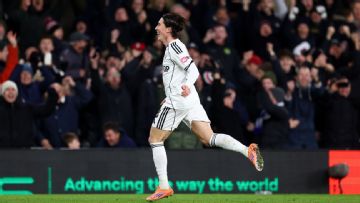 Harry Wilson's late free-kick sees Fulham sink Brighton