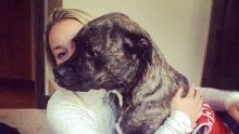 Lindsey Vonn posts heartfelt goodbye to her dog Leo