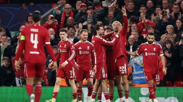 Brighton vs Liverpool: TV channel, kick-off time, live stream, referee, injury and team news