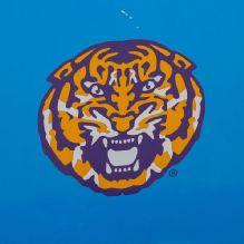 Class of 2027 recruit Caroline Bradley commits to LSU Tigers