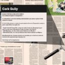 لماذا تم طرح بوتافوجو للبيع في إعلان بالصحيفة وكيف يعمل البروتوكول في إنجلترا