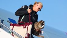 World Cup Daily live: Haaland returns to Norway with stuffed raccoon in tow