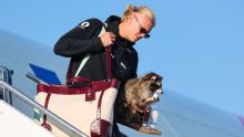 Erling Haaland, Norway return home to heroes' welcome after World Cup exit