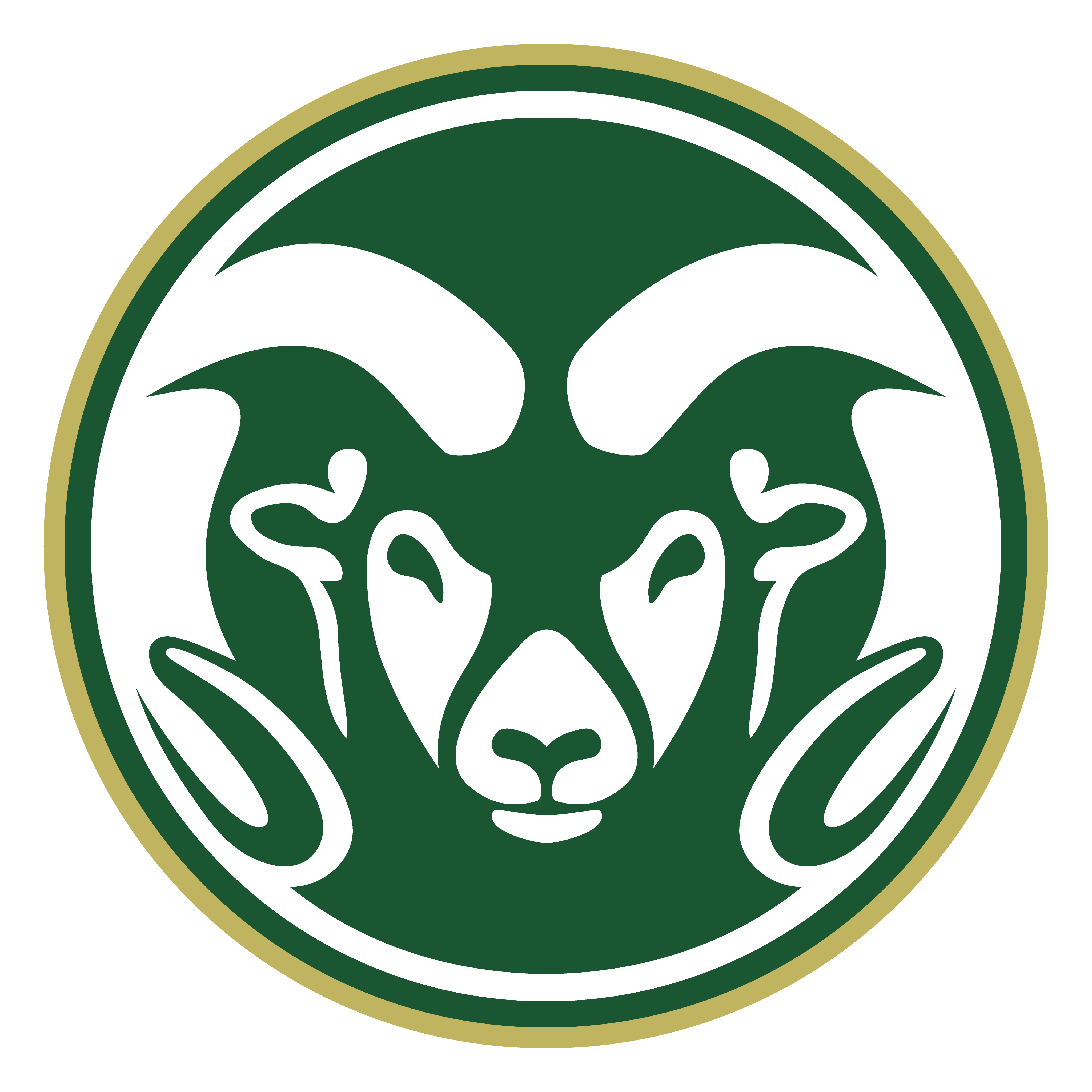 Colorado State Rams