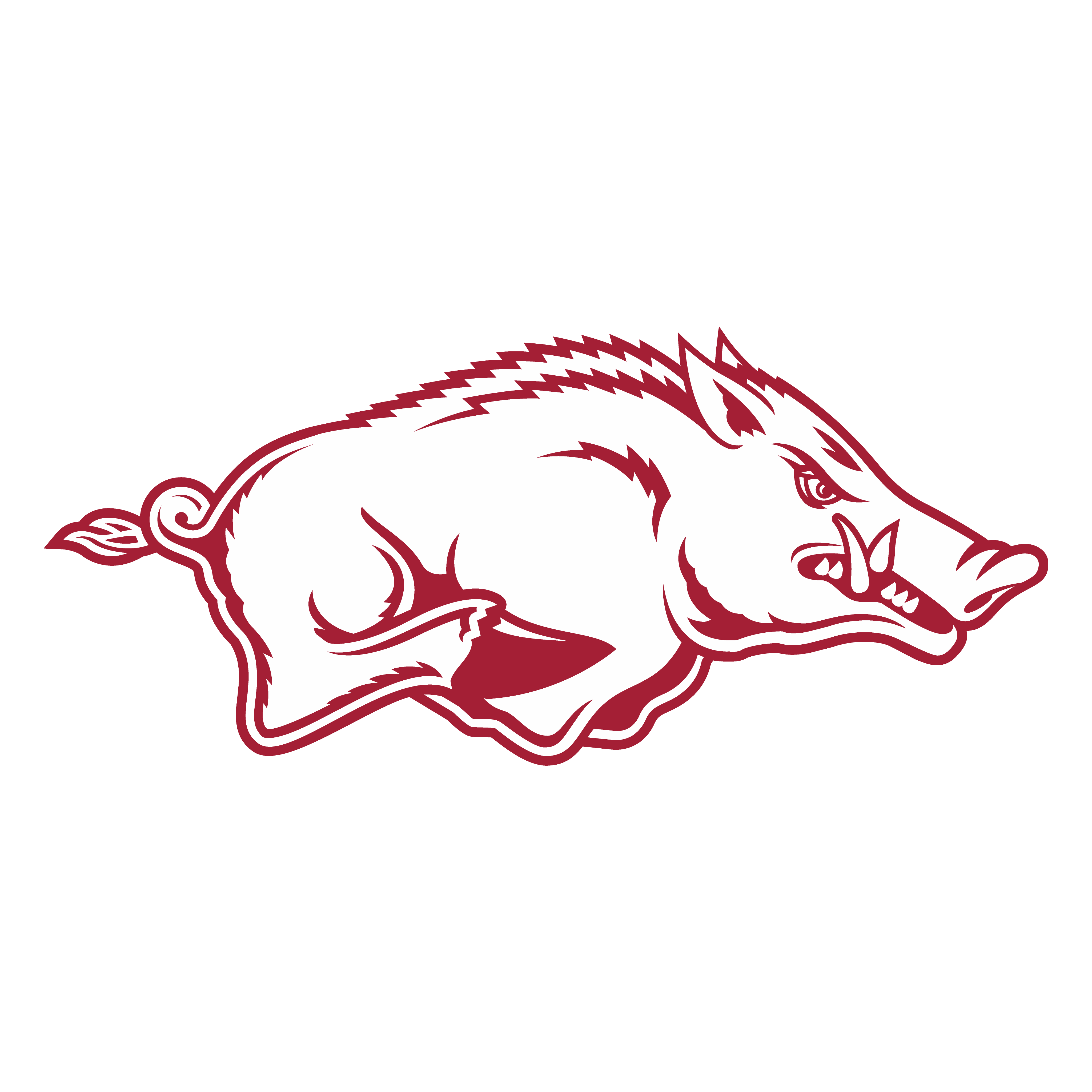 Arkansas store razorbacks