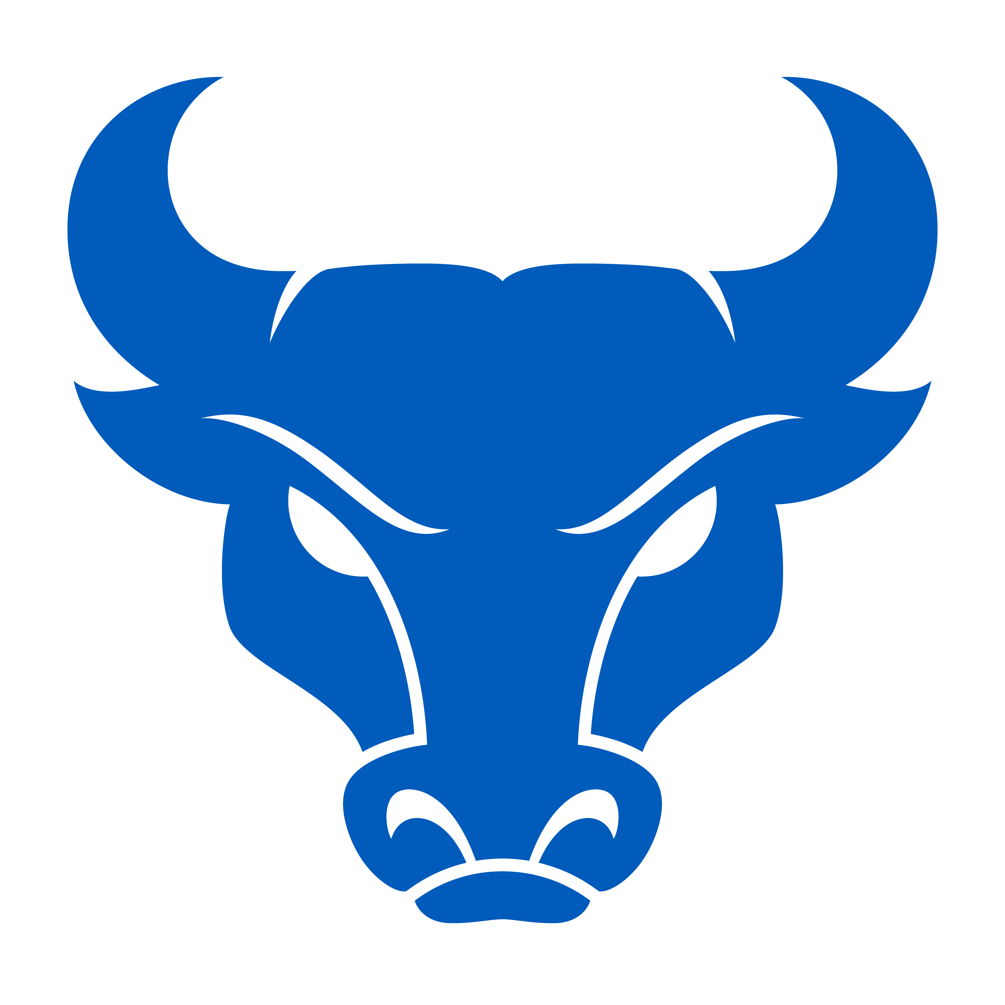 Buffalo football score discount