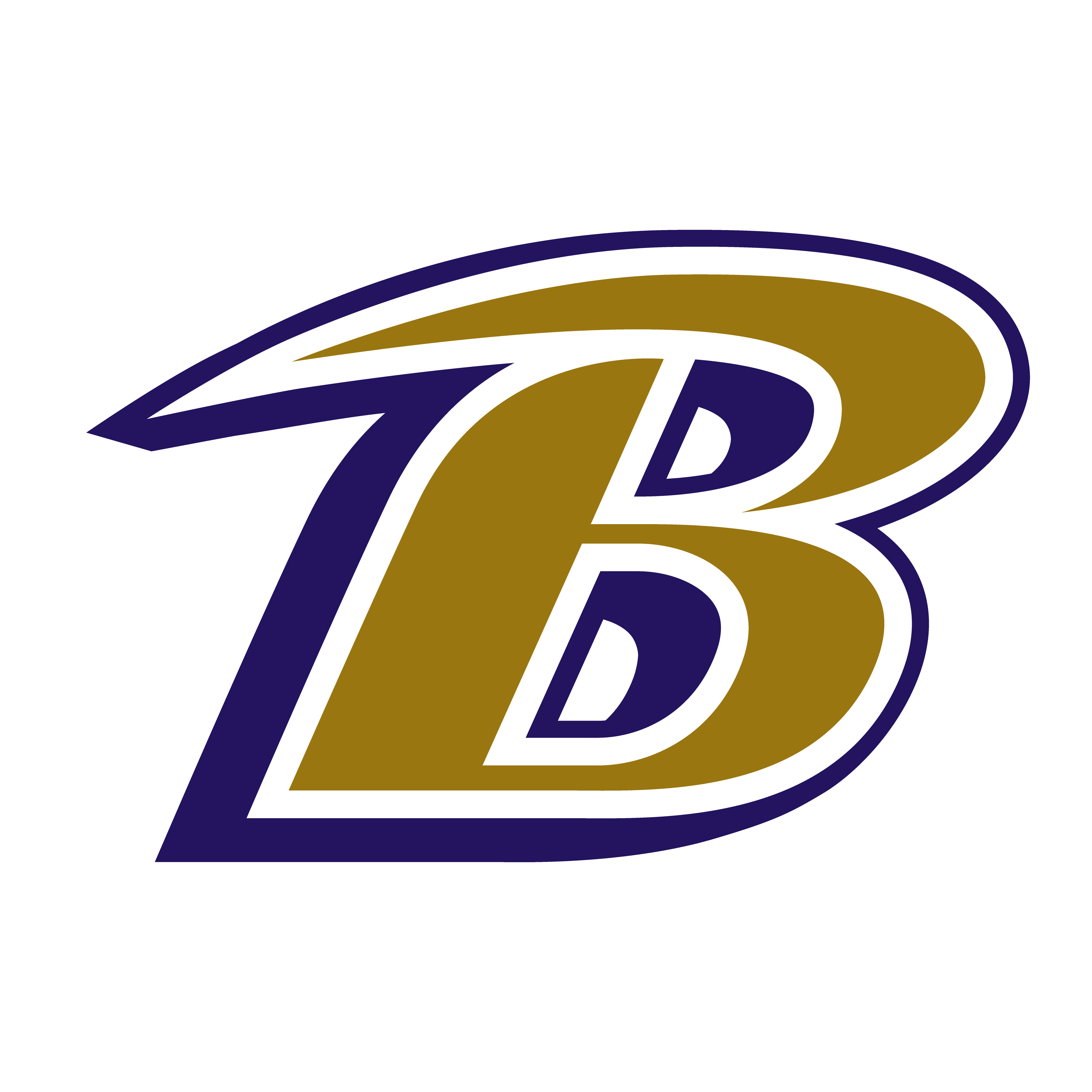 Buy Baltimore Ravens