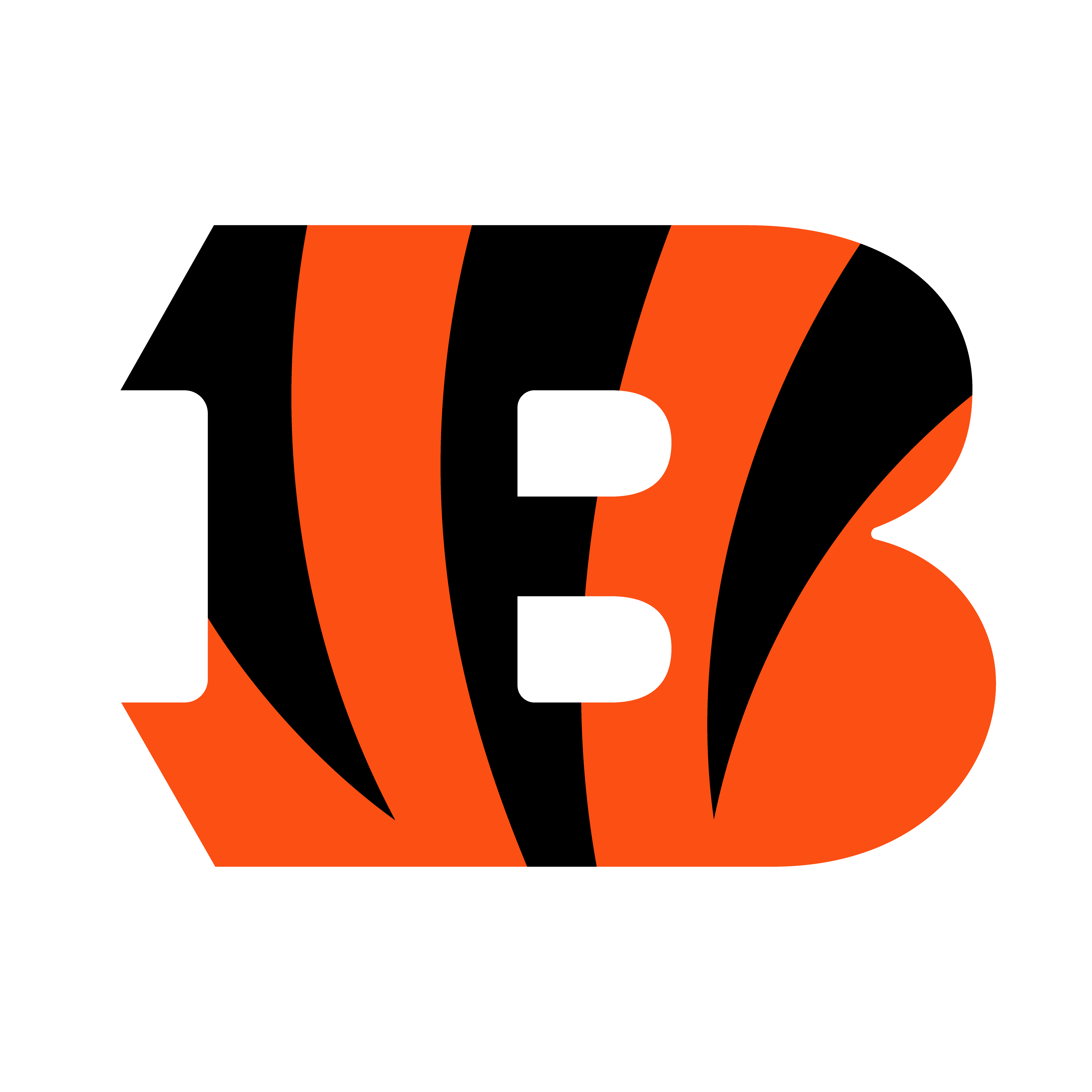 BENGALS BENGALS