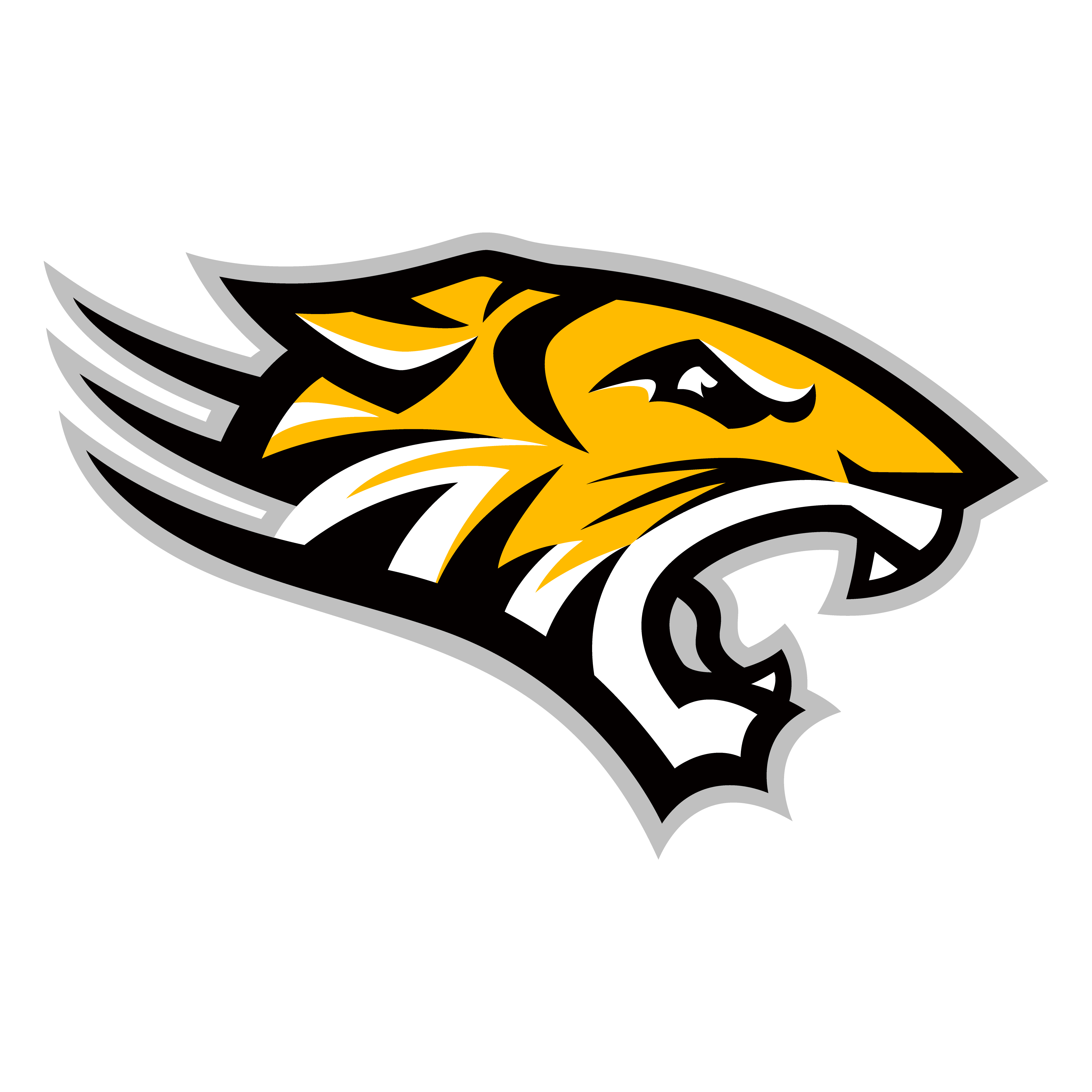 towson basketball roster
