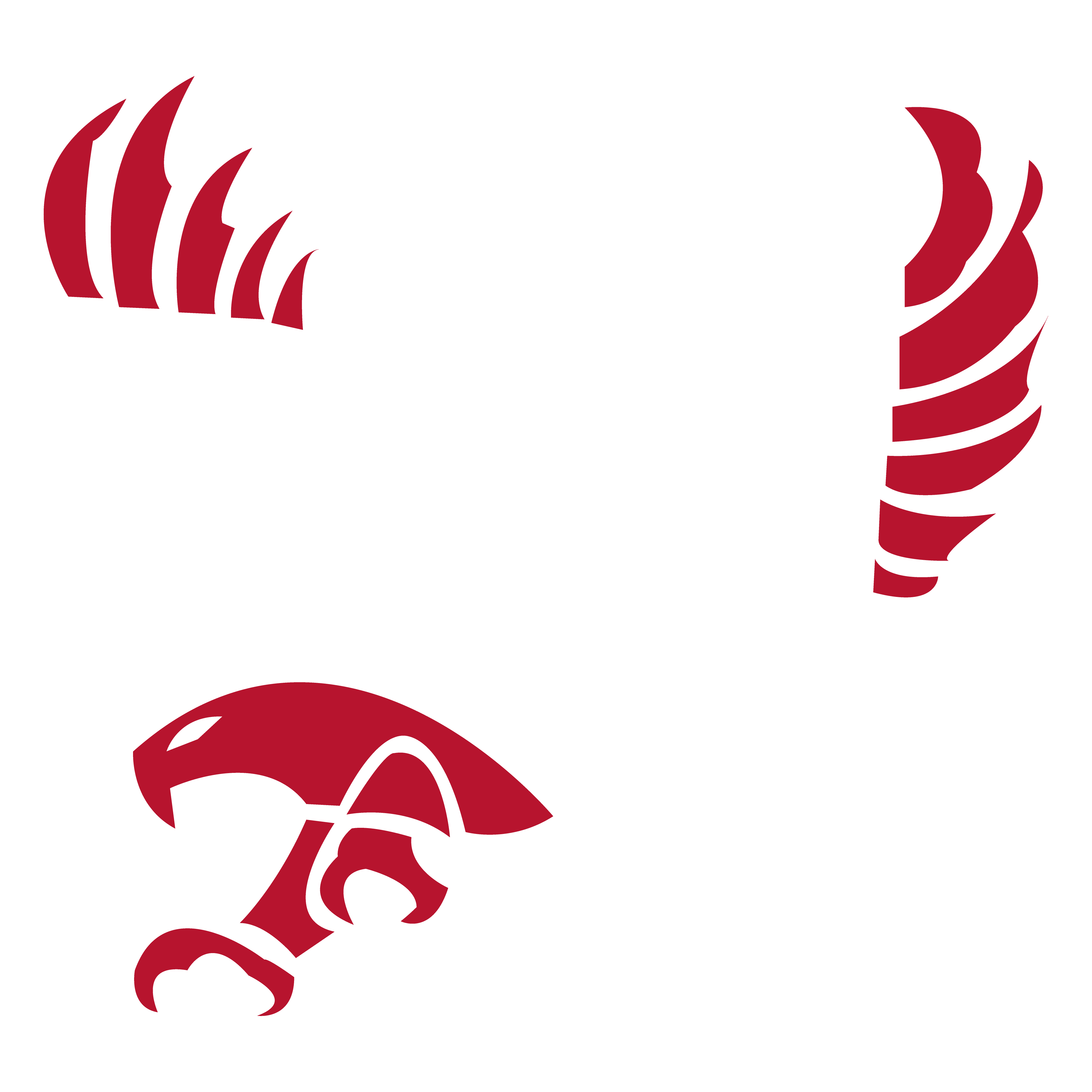 Eastern Washington University EWU Eagles Lanyard - Detachable Breakaway Buckle, 1.5 Feet Long - For Keys & ID Badge - View #2