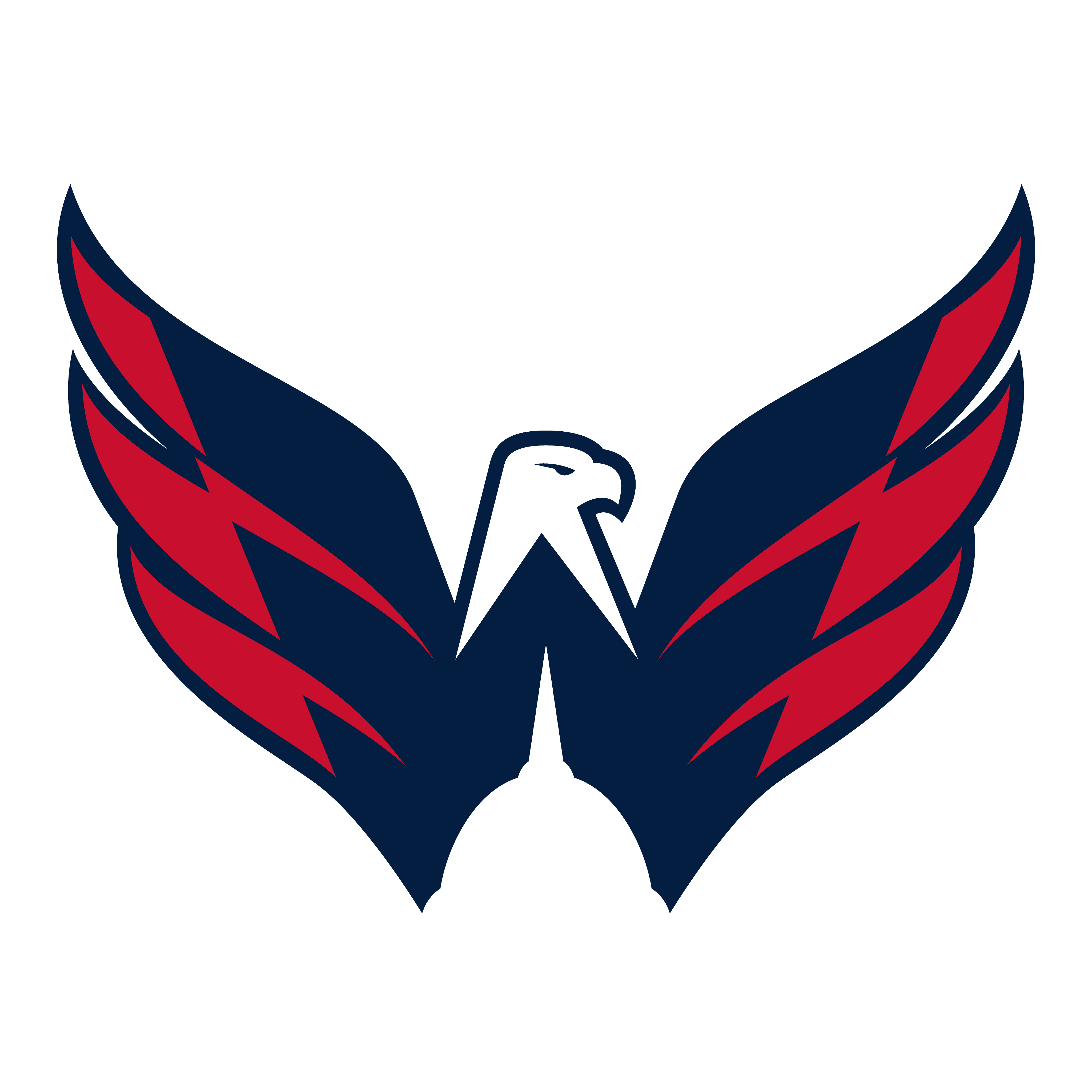 Washington shops Capitals NHL