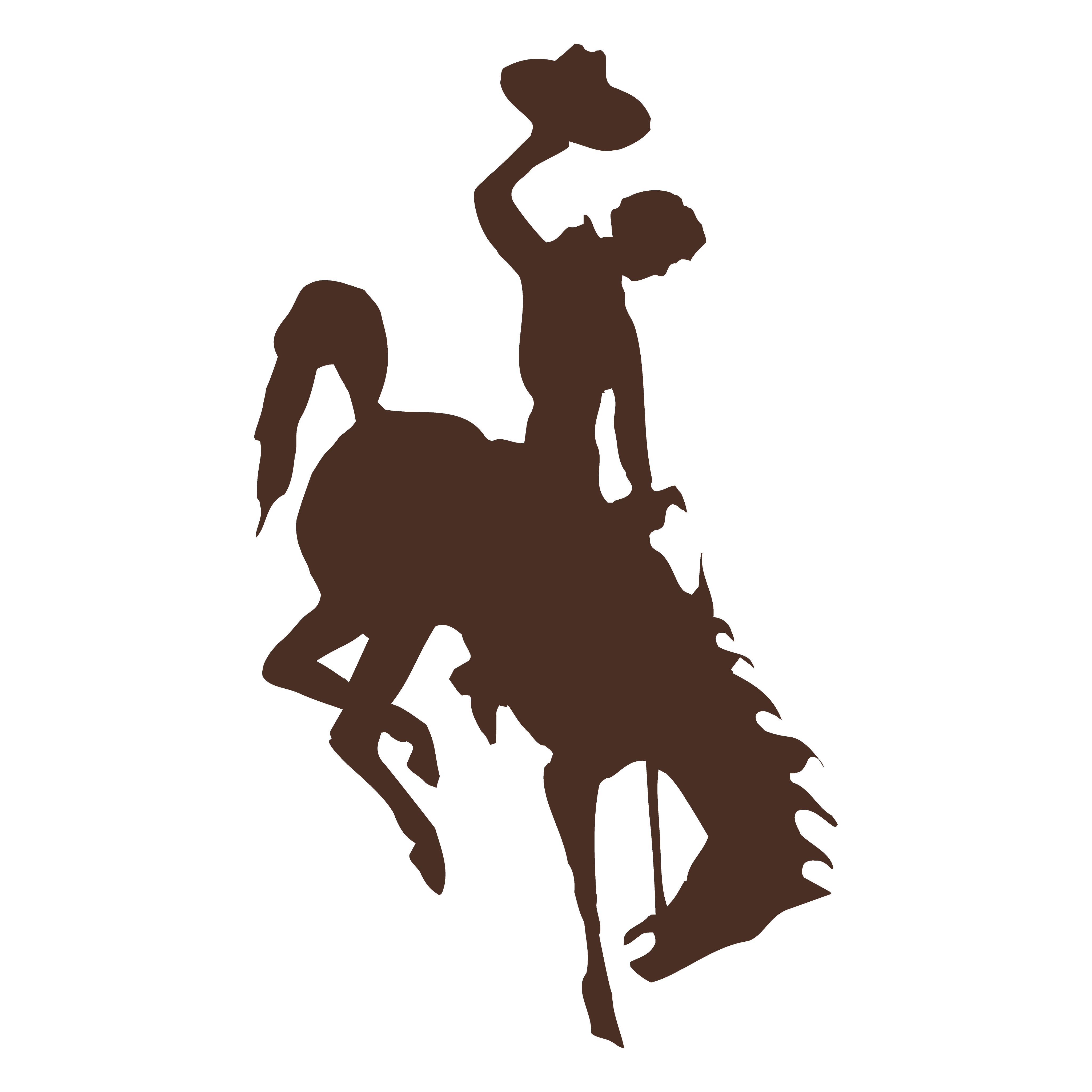 Wyoming Cowboys