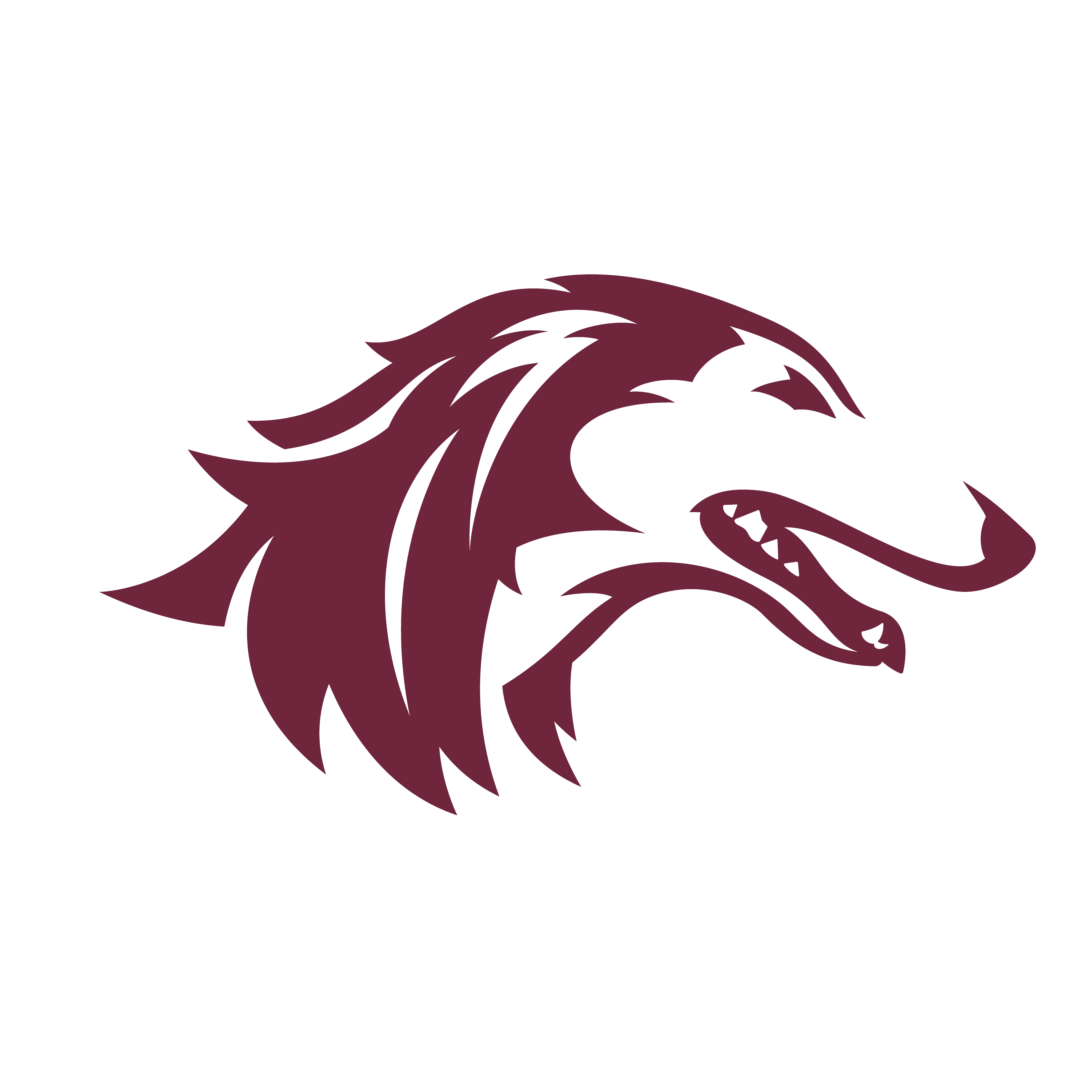 southern illinois basketball roster