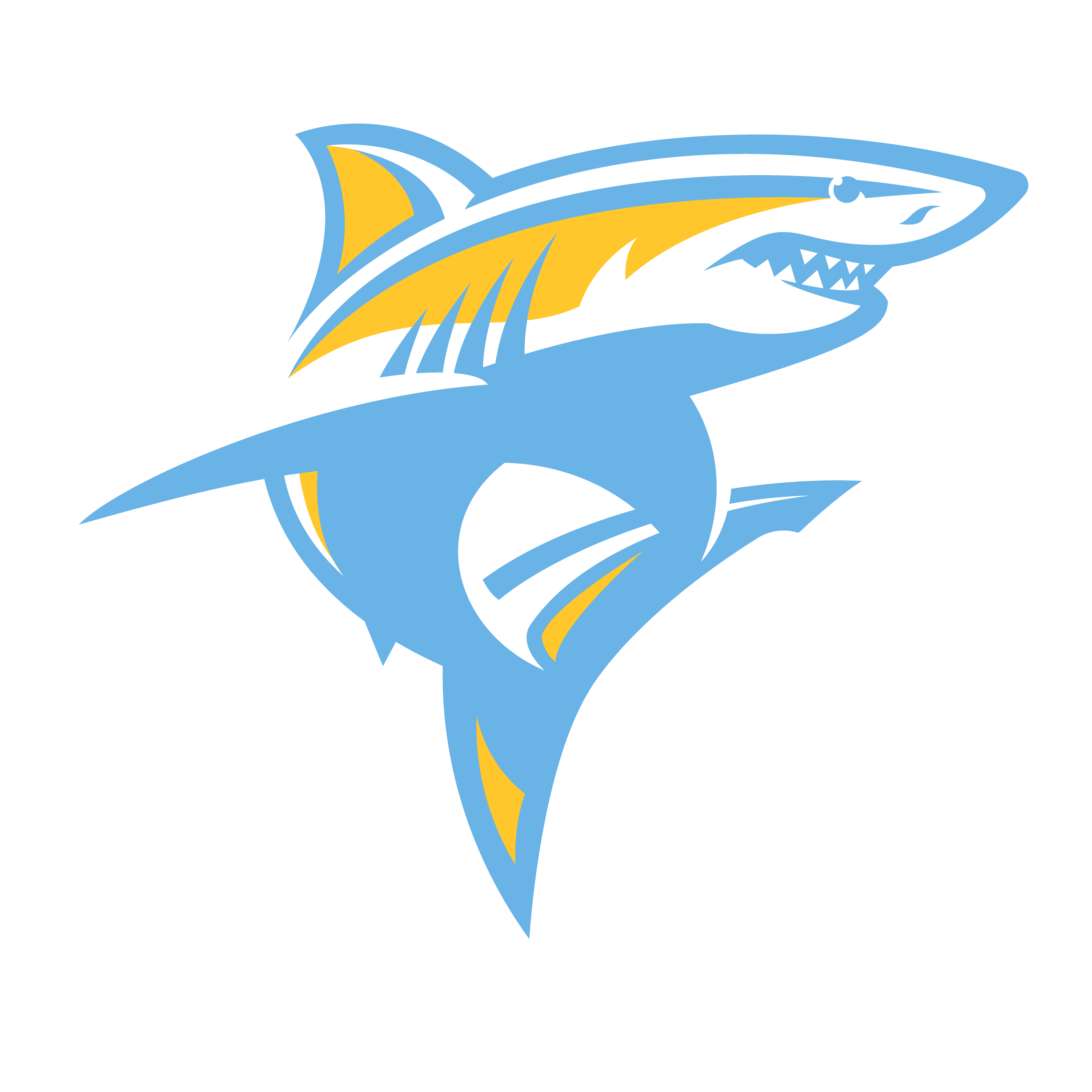 Louisiana College Wildcats