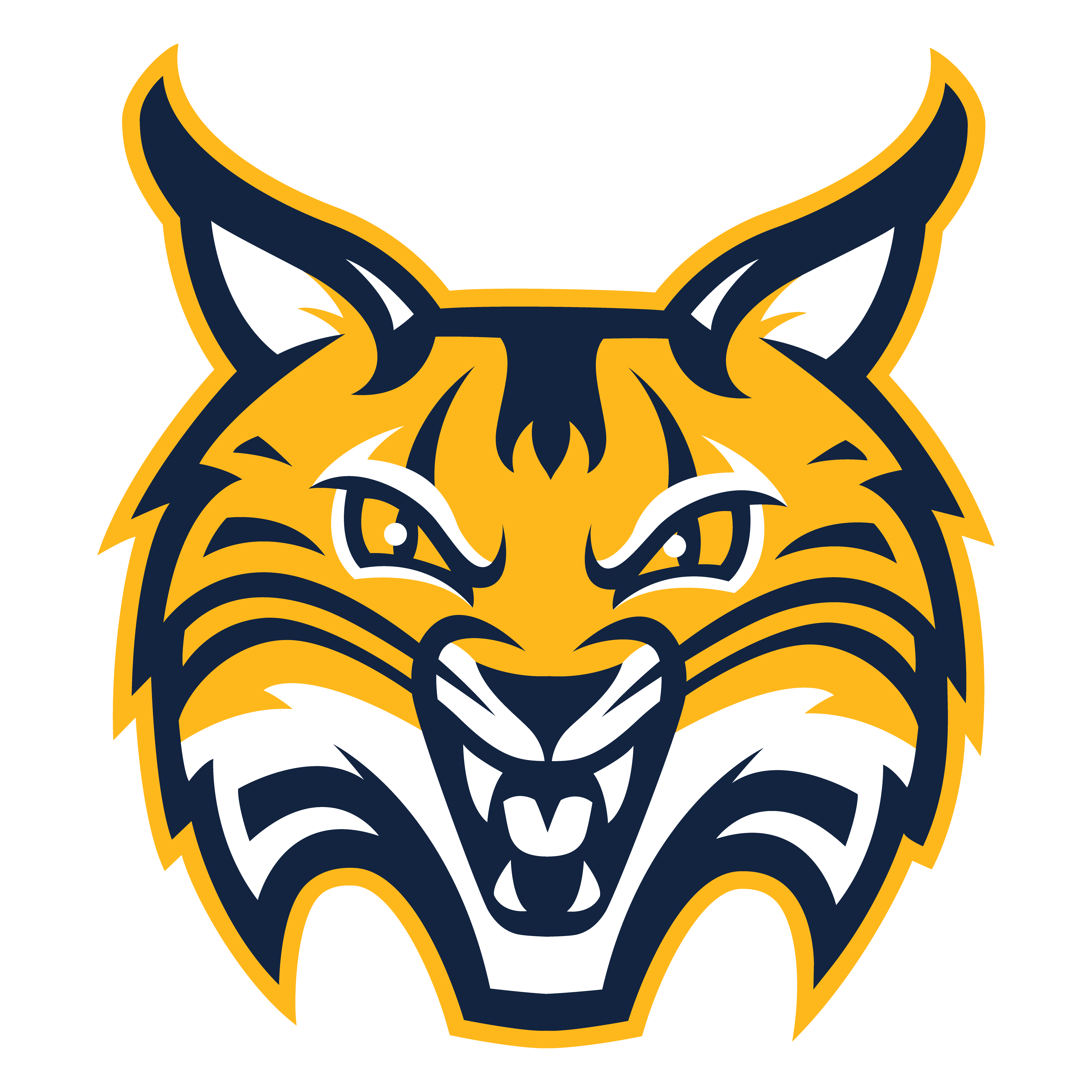 Quinnipiac Bobcats Scores, Stats and Highlights - ESPN, image size:4096x4096