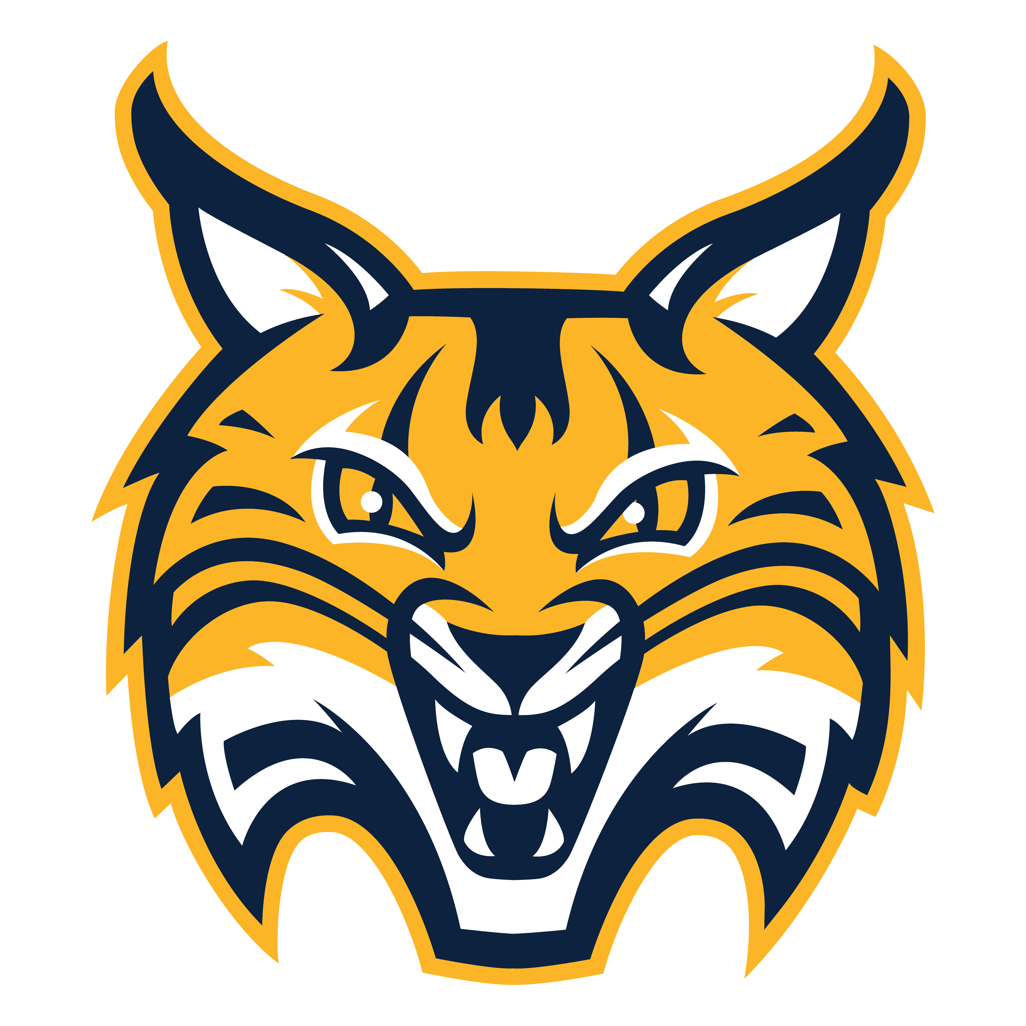Quinnipiac University logo