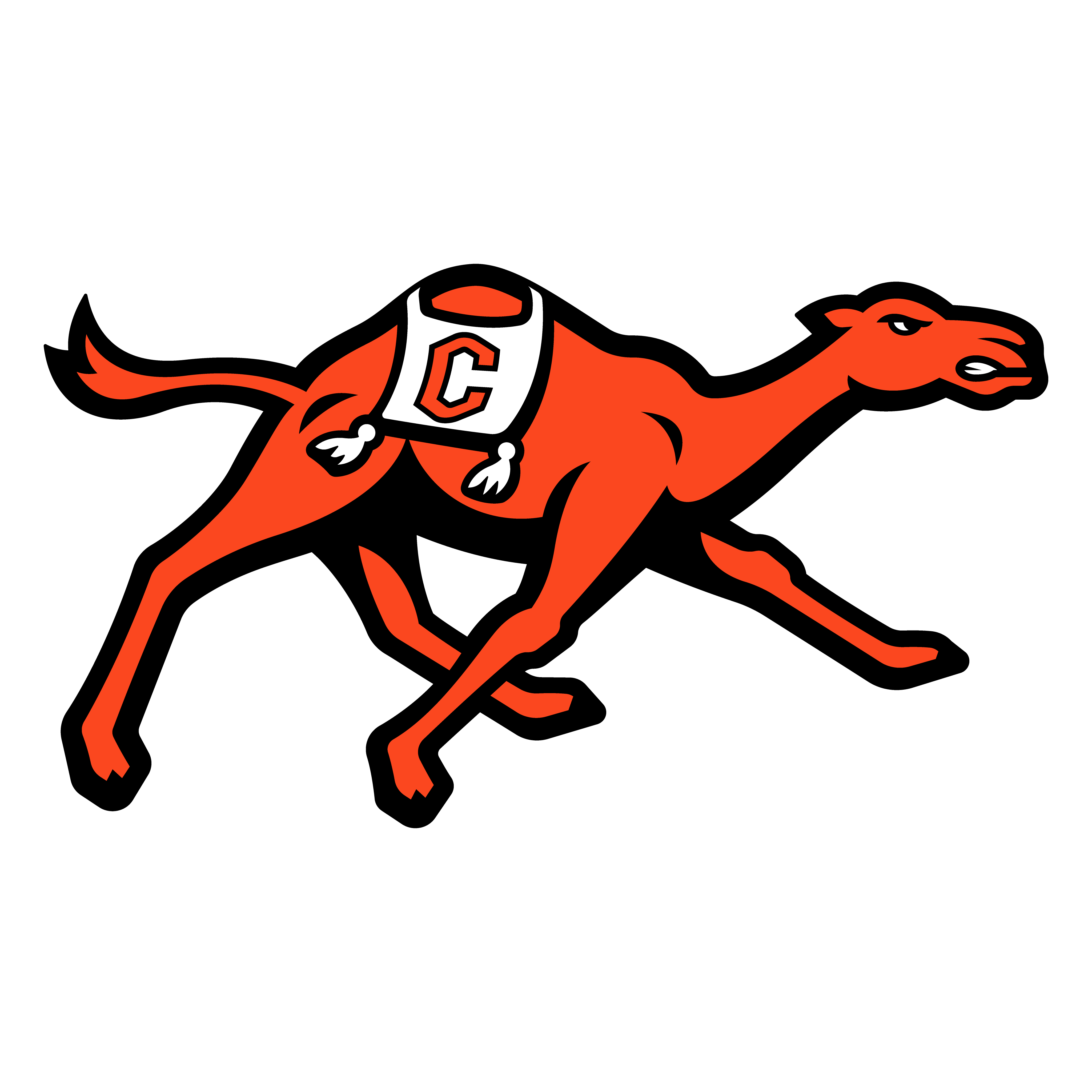 Campbellsville University Tigers