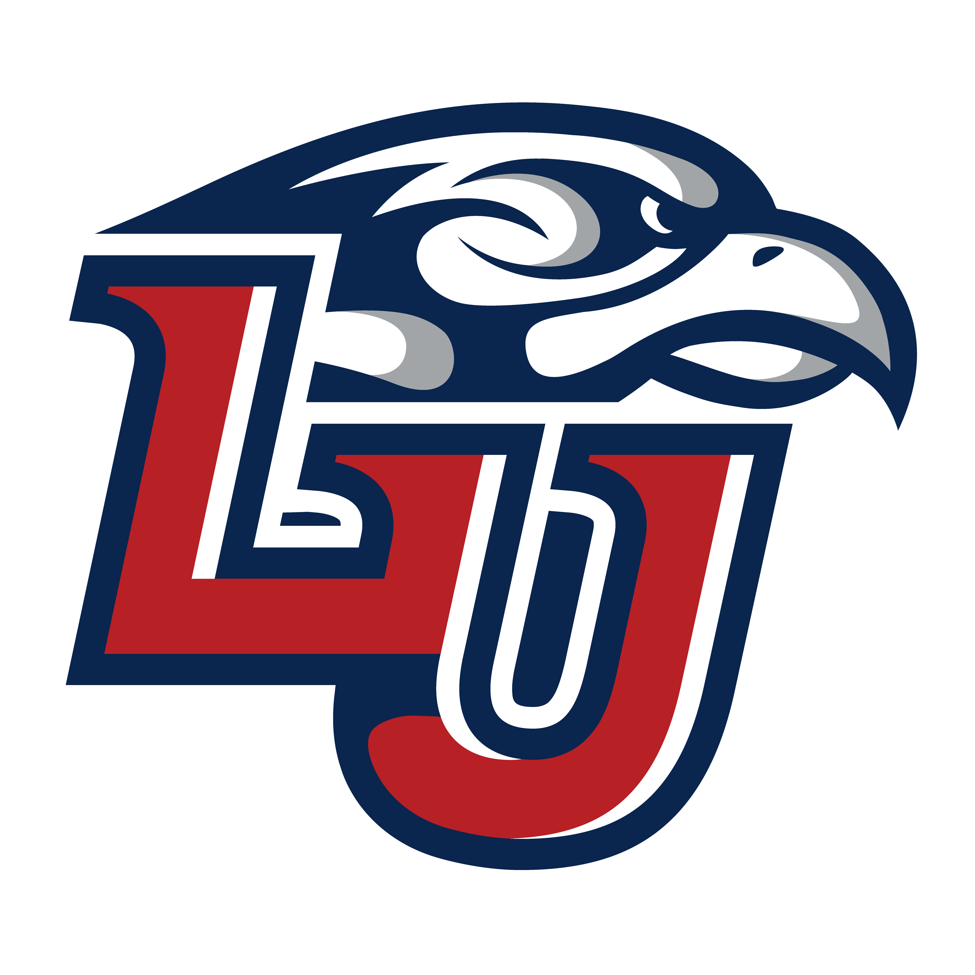 Liberty Flames