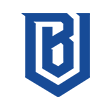 Boston Uprising