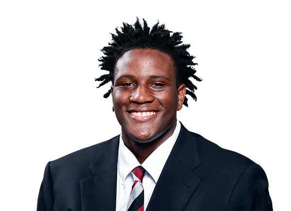 Tonka Hemingway: South Carolina football defensive tackle in photos