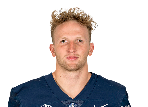 Timm Van Leeuwen