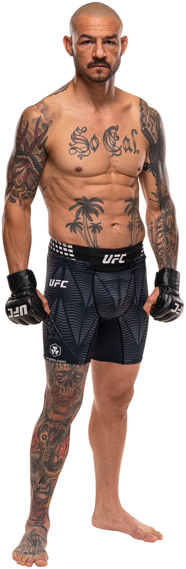 Cub Swanson