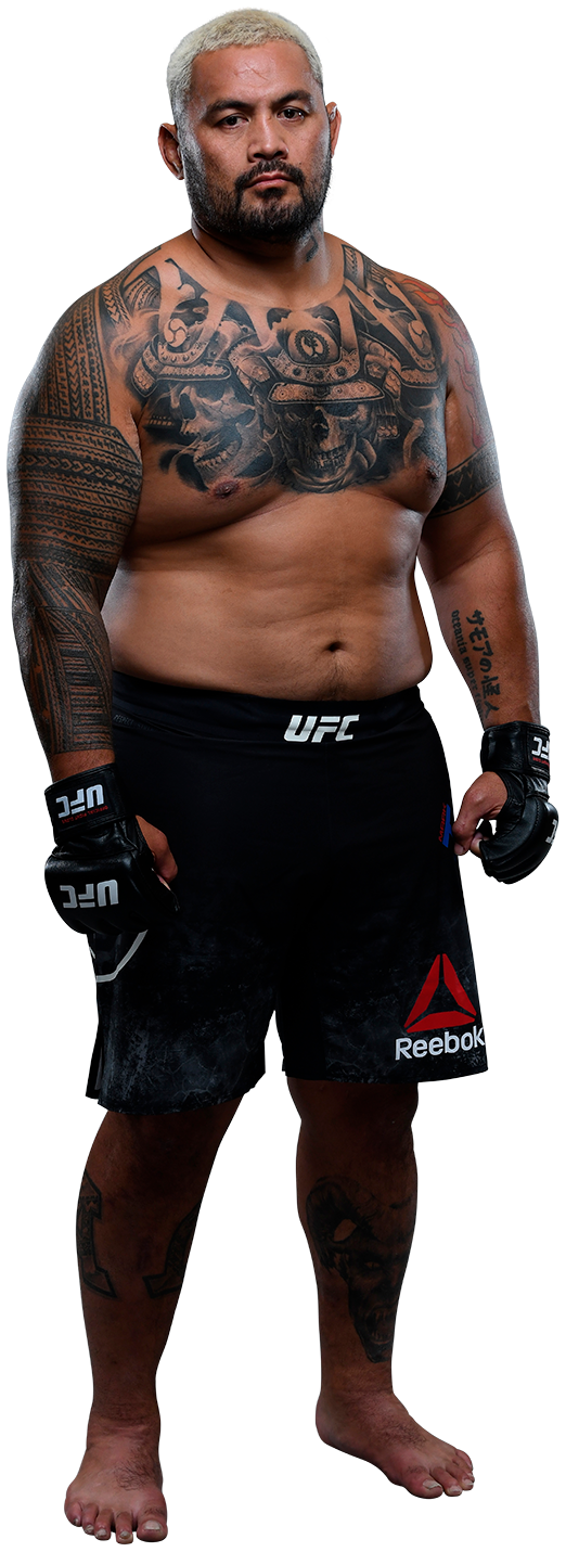 Mark Hunt