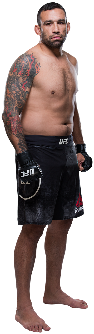 Fabricio Werdum
