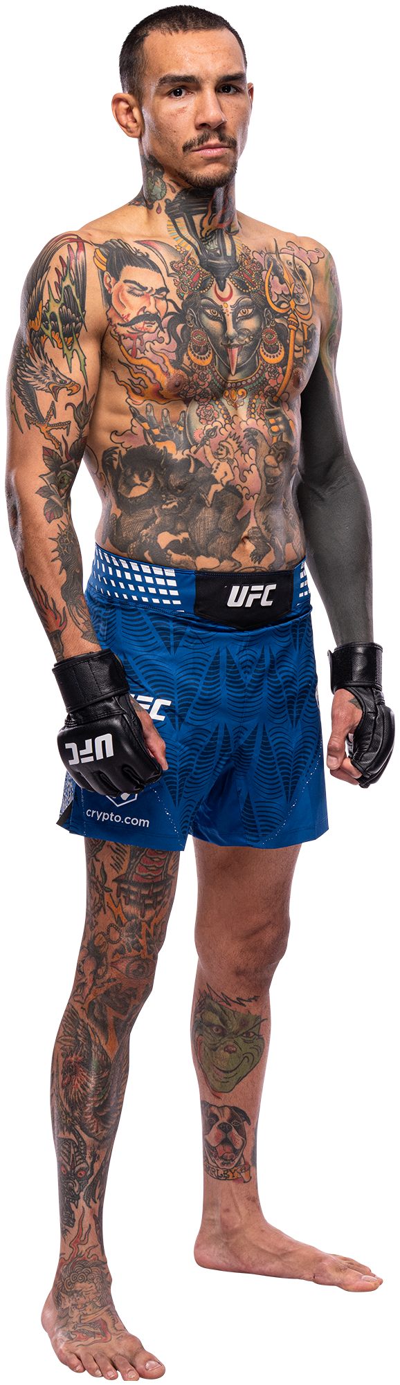 Andre Fili