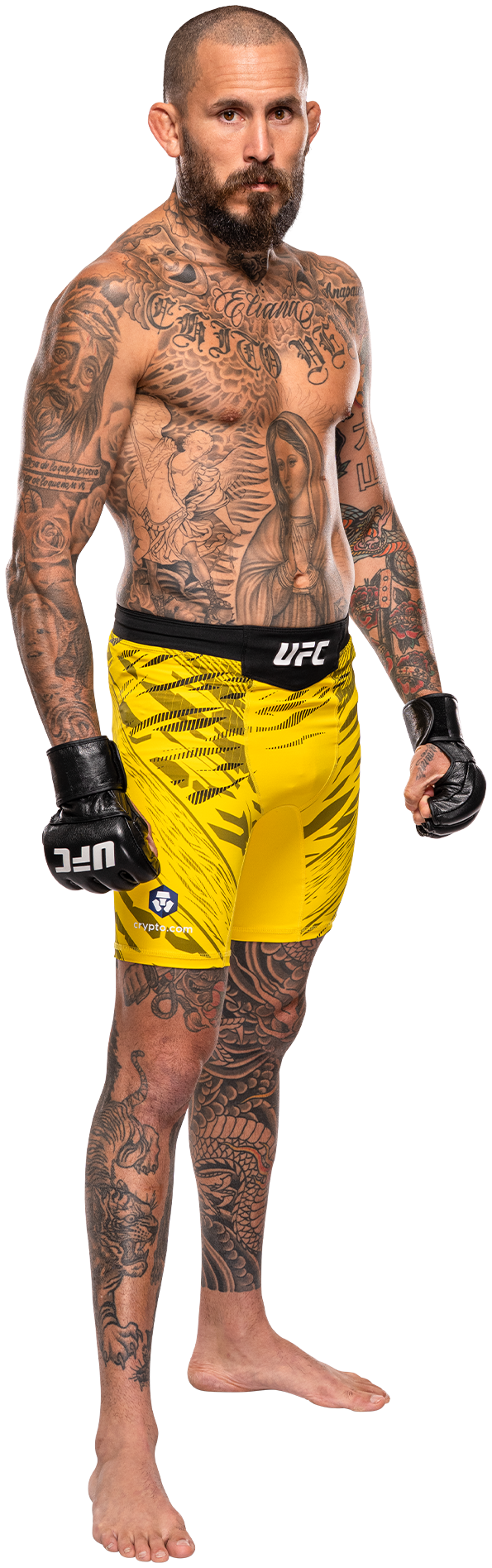 Marlon Vera
