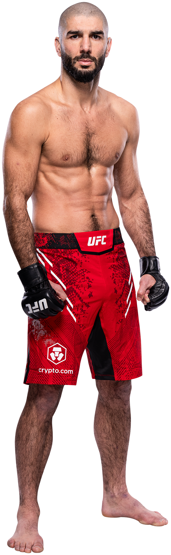 Aiemann Zahabi