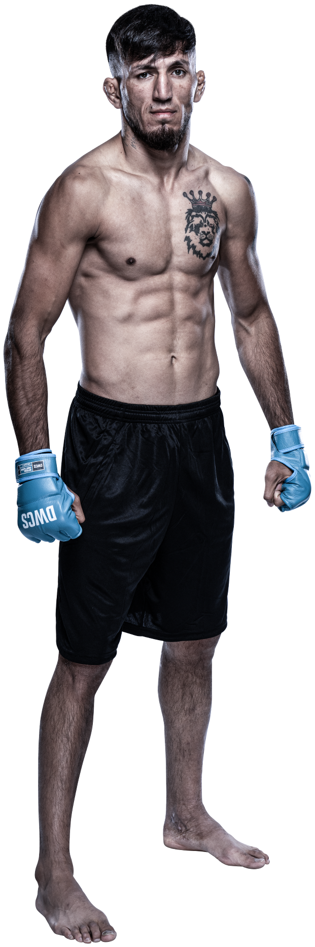 Ahmad Hassanzada