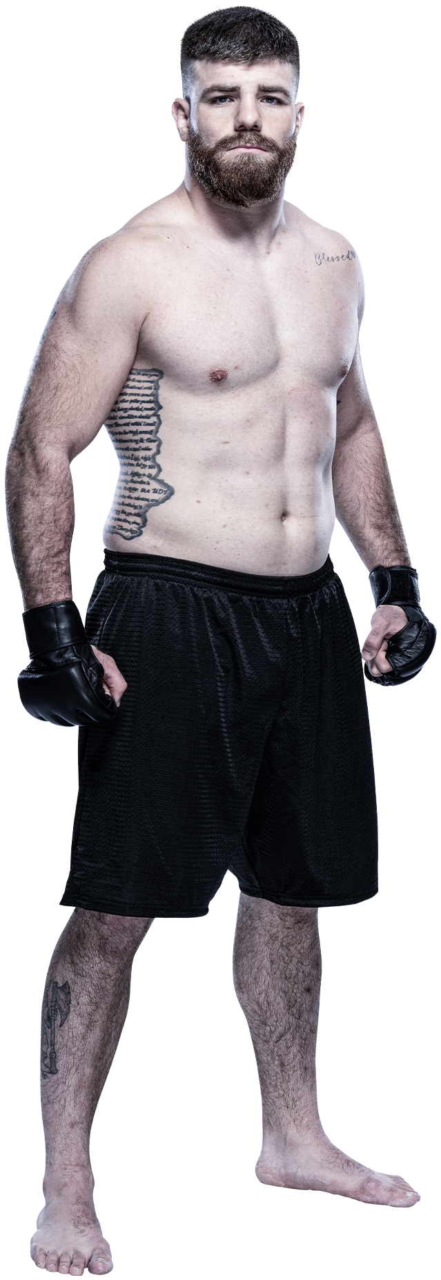 Eli Aronov
