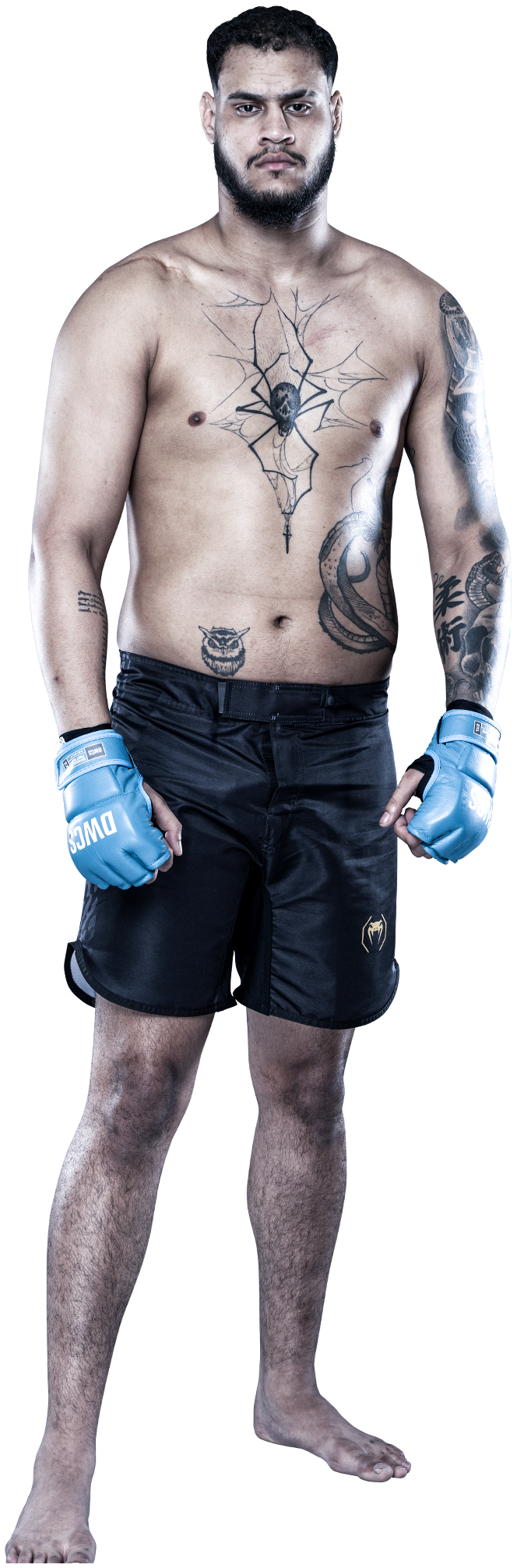 Tallison Teixeira