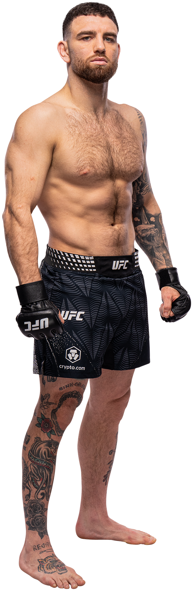 Luke Fernandez