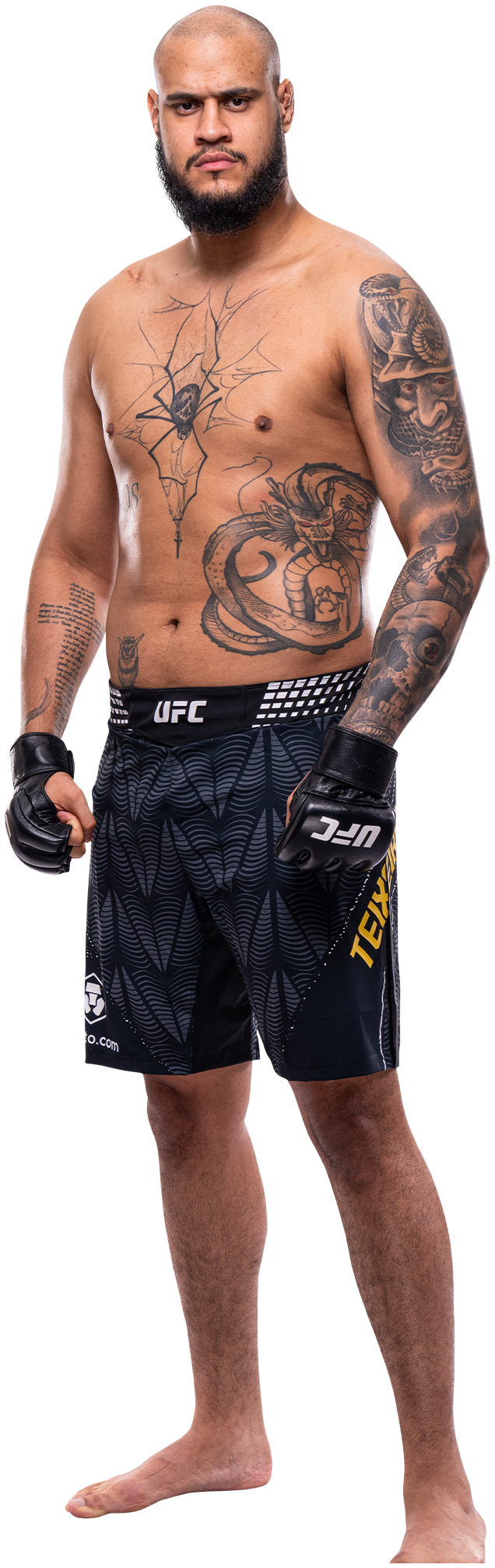 Tallison Teixeira