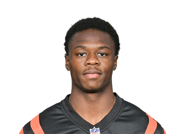 Tee Higgins - Cincinnati Bengals Wide Receiver - ESPN