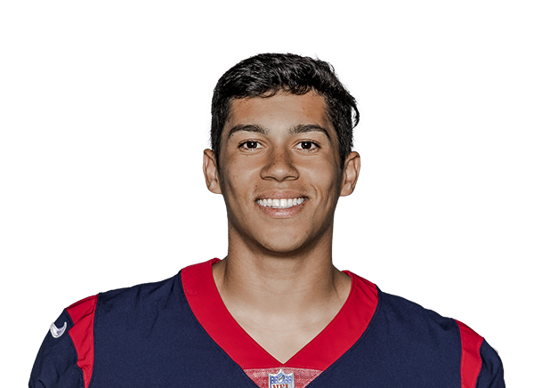 List of Houston Texans seasons - Wikipedia