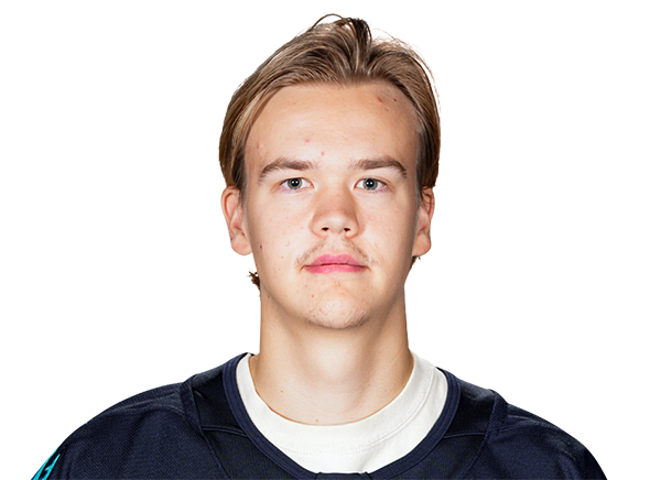 Headshot of Nikke Kokko