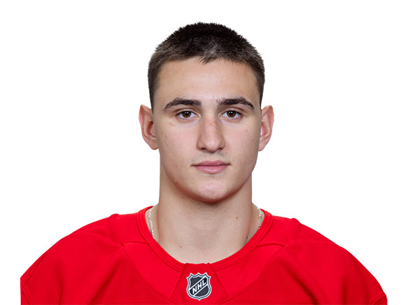 Headshot of Amadeus Lombardi