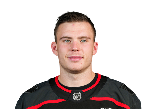 Headshot of Alexander Nikishin